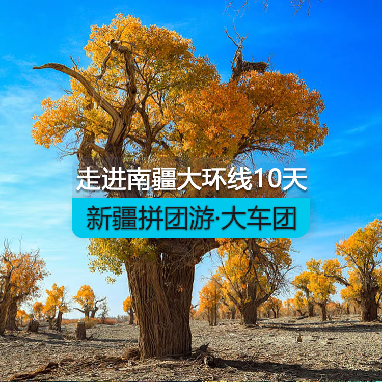 【新疆拼團游·大車團】走近南疆大環(huán)線10日游（景點包含：博斯騰湖、輪臺胡楊林、359旅紀念館、沙漠公路、莎車老城、白沙湖、喀拉庫勒湖、開城儀式、達瓦昆沙漠、天山托木爾大峽谷）線路編號：11447