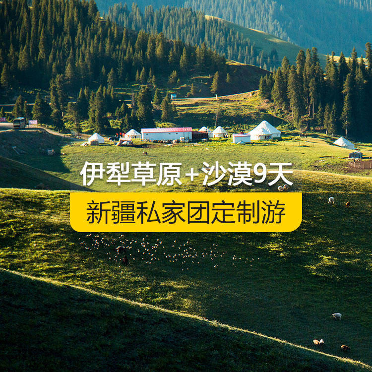 【新疆·北疆·私家團(tuán)定制游·9天8晚】北疆伊犁草原沙漠純玩9日游（景點(diǎn)包含：獨(dú)山子大峽谷+賽里木湖+解憂(yōu)公主薰衣草農(nóng)場(chǎng)+那拉提空中草原+巴音布魯克天鵝湖+獨(dú)庫(kù)公路+唐布拉百里畫(huà)廊+天山天池+國(guó)際大巴扎+交河故城+吐峪溝+鄯善庫(kù)木塔格沙漠+火焰山+坎兒井+吐魯番葡萄溝）產(chǎn)品編號(hào) : 11337