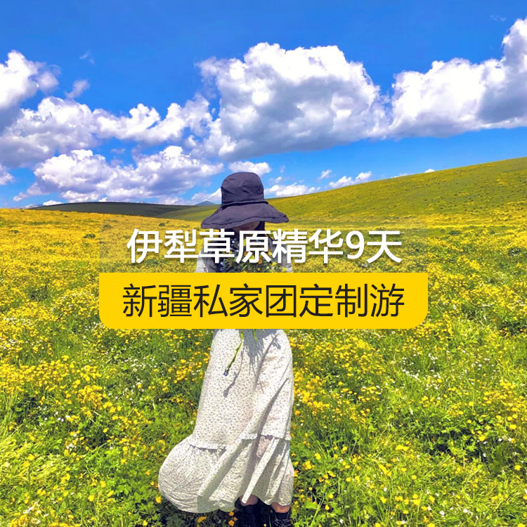 【新疆·北疆·私家團(tuán)定制游·9天8晚】北疆伊犁精華純玩9日游（景點(diǎn)包含：獨(dú)山子大峽谷+賽里木湖+解憂(yōu)公主薰衣草農(nóng)場(chǎng)+喀贊其民俗區(qū)+伊昭公路+昭蘇濕地公園+夏塔古道+喀拉峻+特克斯八卦城+那拉提空中草原+巴音布魯克天鵝湖+獨(dú)庫(kù)公路+唐布拉百里畫(huà)廊+S101省道+國(guó)際大巴扎）產(chǎn)品編號(hào) : 11336