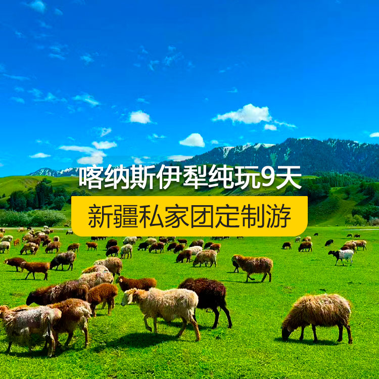 【新疆·北疆·私家團(tuán)定制游·9天8晚】北疆喀納斯伊犁純玩9日游（景點(diǎn)包含：S21沙漠公路+五彩灘+喀納斯+禾木村+烏爾禾魔鬼城+賽里木湖+果子溝（途觀）+伊犁那拉提空中草原+巴音布魯克草原+獨(dú)庫公路+唐布拉+獨(dú)山子大峽谷+國際大巴扎）產(chǎn)品編號(hào) : 11339