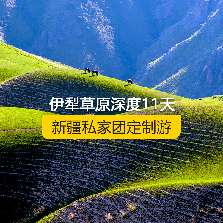 【新疆·北疆·私家團定制游·11天10晚】北疆伊犁草原全景深度純玩11日游（景點包含：獨山子大峽谷+賽里木湖+解憂公主薰衣草農場+伊昭公路+昭蘇濕地公園天馬浴河+夏塔古道+昭蘇油菜花（途觀）+瓊庫什臺村+喀拉峻+特克斯八卦城+庫爾德寧+恰西景區(qū)+那拉提空中草原+巴音布魯克+獨庫公路+唐布拉百里畫廊+S101省道丹霞風光+國際大巴扎）產品編號 : 11334